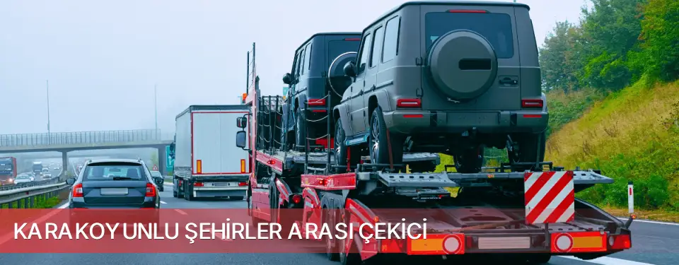 Karakoyunlu İlçemi Şehirler Arası Çekici